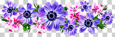 Blumenmuster, Violett, Verzierung, Karikatur, Logo, Grün png